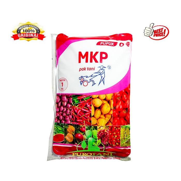Puro MKP Pelebat Buah - PUPUK Pembesar Buah TERBARUAO460
