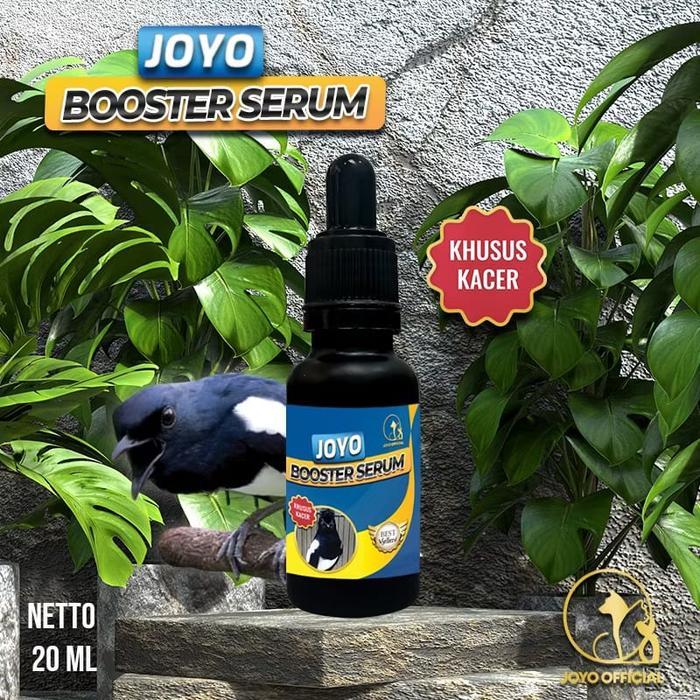VITAMIN BURUNG KACER JUARA PENGGACOR BURUNG KACER STAMINA BURUNG KACER DOPPING KACER GACOR JOYO