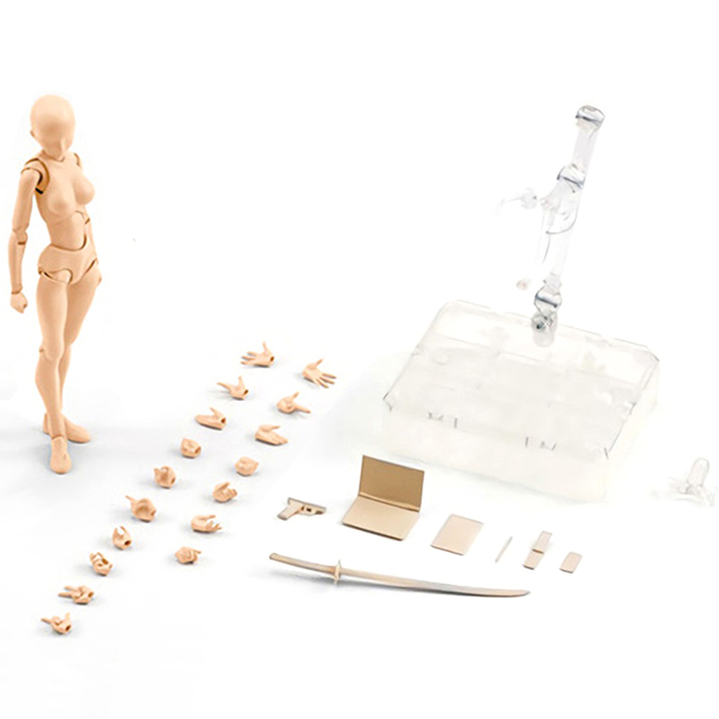 Body Kun DX Set Body Kun And Body Chan Set PVC Action Figures Drawing Mannequin For Artists Model