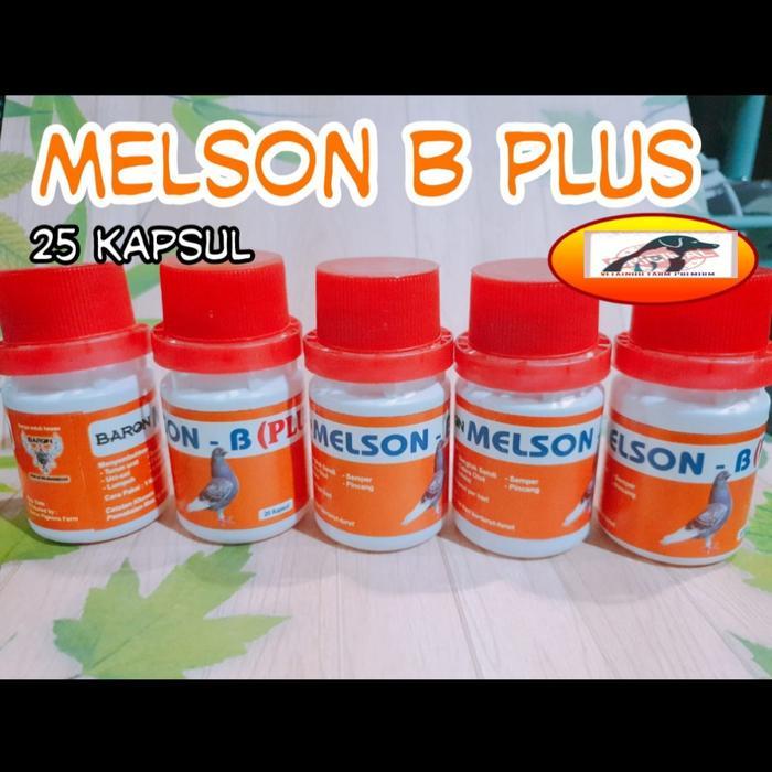 MELSON B PLUS BARON BURUNG SAKIT MERPATI TURUN URAT SEMPER LUMPUH