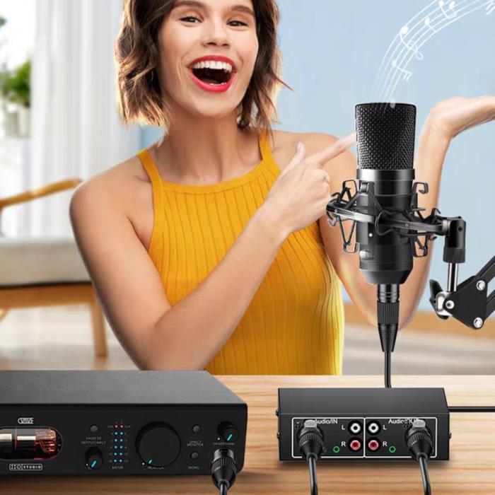 Jinghua Jh-Z102 Ground Loop Noise Isolator