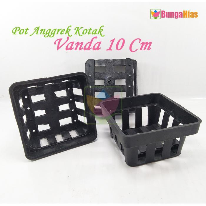 Diskon 1 Lusin Pot 10 Cm Anggrek Vanda Kotak Bulat Bibit Benih Tanaman Bunga