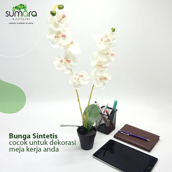 [Voucher] Bunga Anggrek Putih Plastik + Pot Cantik