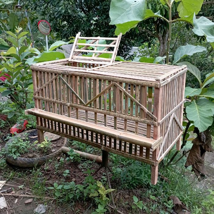 KANDANG AYAM BAMBU 80CM UNTUK PEMBESARAN BONUS TEMPAT PAKAN KANDANG ANAK AYAM