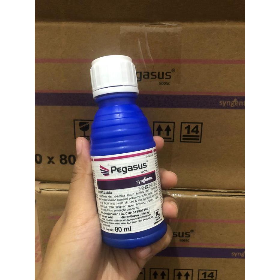 Paket Bundling Fungisida Amistartop 325SC 250ml & Insektisida Pegasus 500SC 80ml Obat Tanaman Buah
