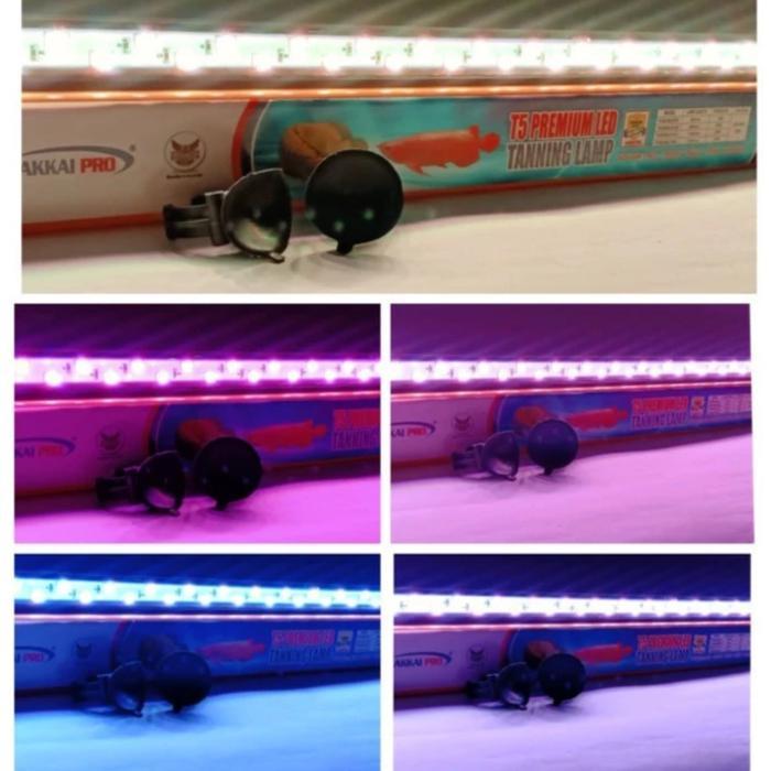 lampu tanning arwana arowana sakkai sakai pro T5 double 1000