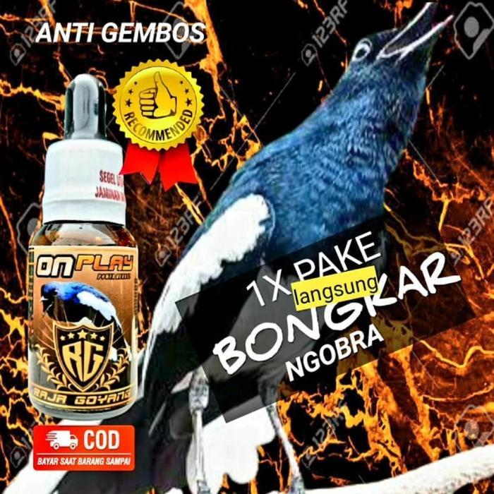 RG ON PLAY KACER VITAMIN PREBIOTIK UNTUK KACER LOMBA