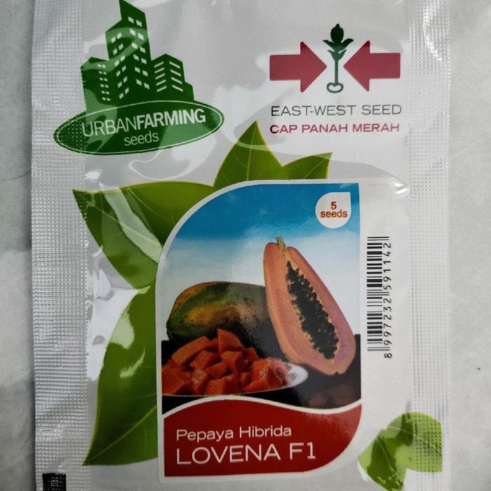 Produk Terbaik] Benih Pepaya Lovena F1 5 Seed PT East West Panah Merah