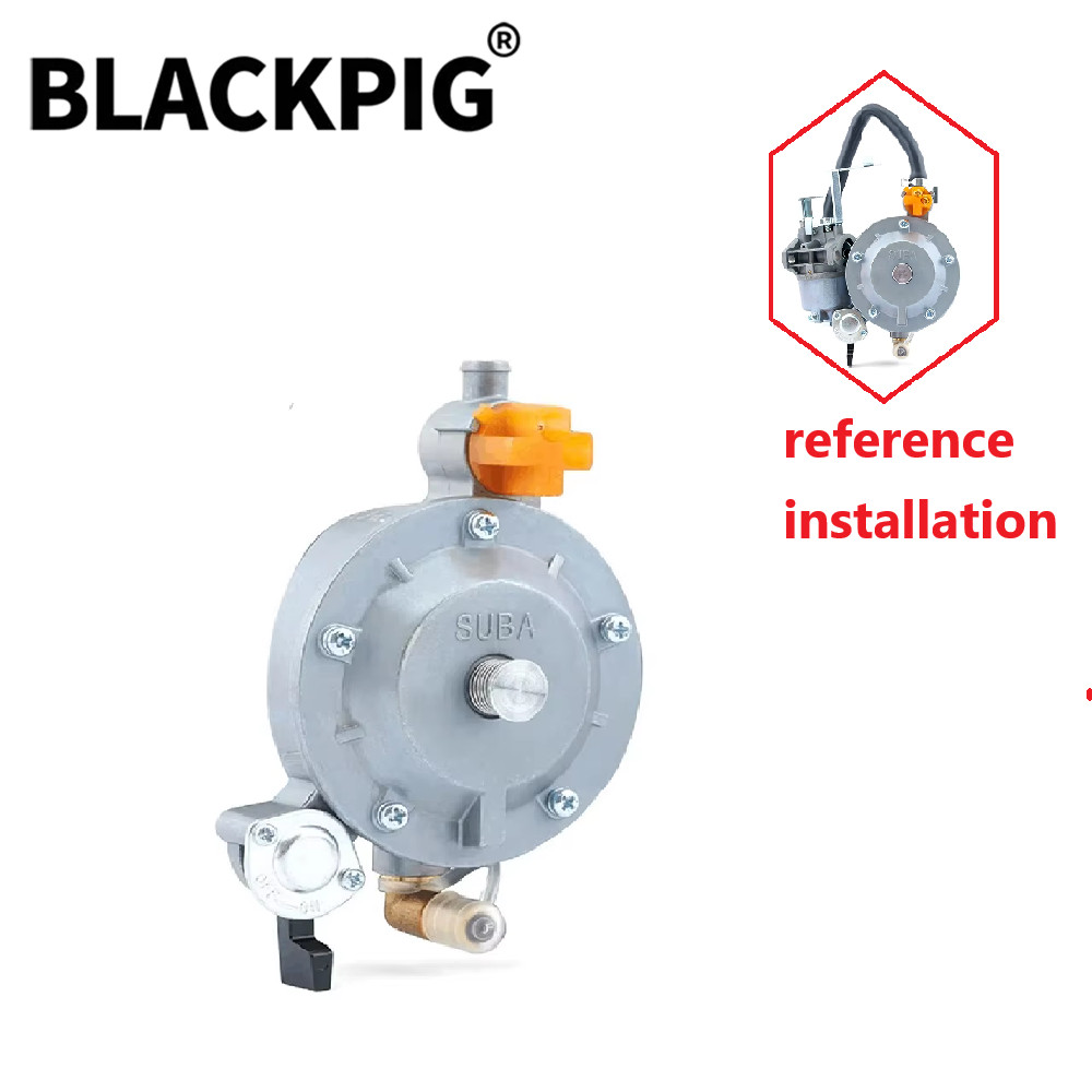 GT241 154F Engine LPG Dual Fuel Carburetor Reducer Assy Gasolina Petrol Generator Parts