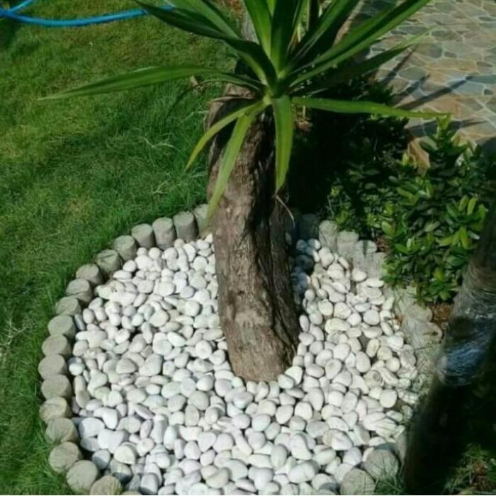 New Batu Koral Putih kupang / Batu taman/ Batu Tabur Putih untuk Taman