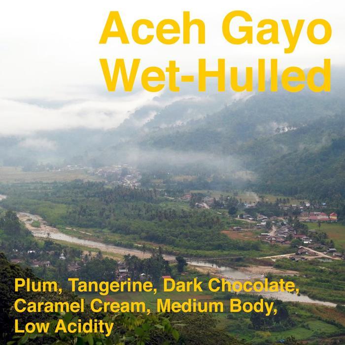 Kopi Arabika Aceh Gayo 1Kg 1 Kg