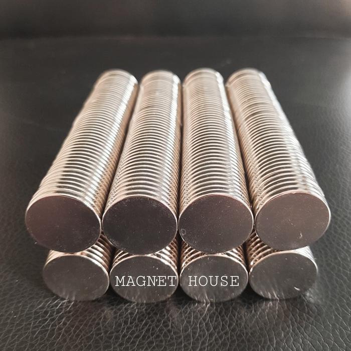 e64c- Magnet Neodymium Bulat Round Koin Coin Diameter 20X2Mm 20Mmx2Mm 20*2Mm