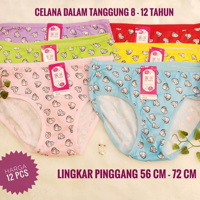 (NYAMAN) MMN CELANA DALAM ANAK PEREMPUAN TANGGUNG CD ANAK CEWEK LUSINAN 12 PCS BAHAN LEMBUT