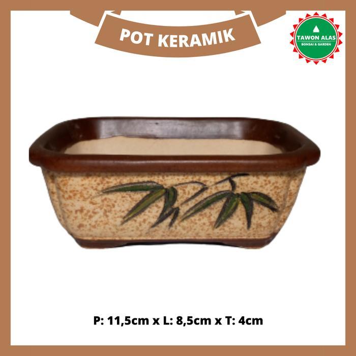 Mrono_Mrene Pot Bonsai Keramik Mame - Tinggi