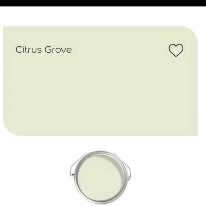 TERLARIS CAT TEMBOK DULUX CATYLAC INTERIOR CITRUS GROVE 5 KG 5KG BAGUS HIJAU MURAH READY