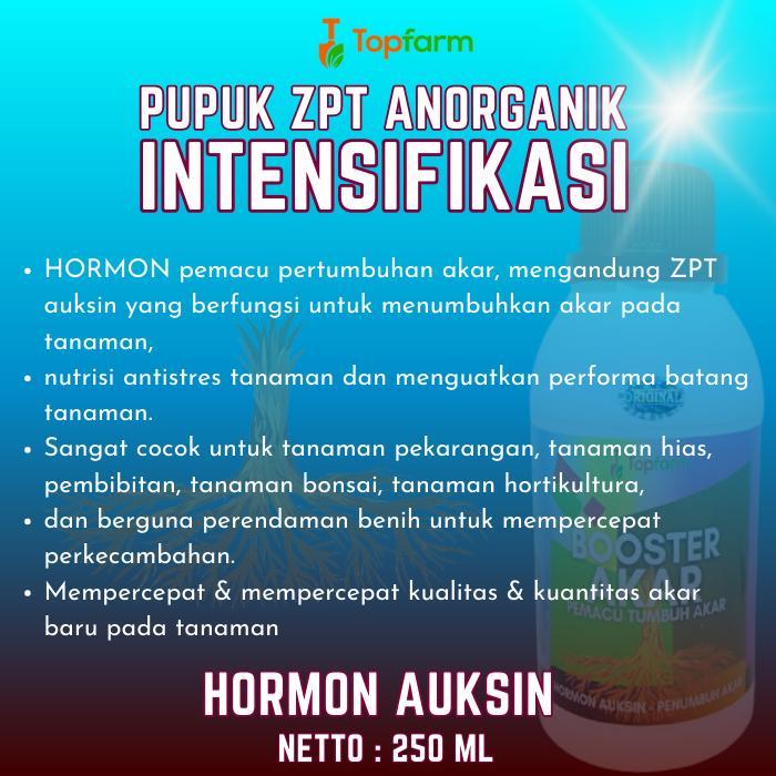 Lubis Gardening Booster Akar - Booster Pertumbuhan Akar Tanaman / Pupuk Perangsang Akar Pohon /