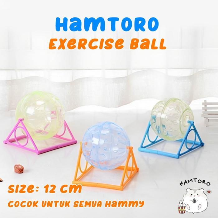 nt39- Hamtoro Exercise Ball 2 In 1 Bahan Tebal & Besar Mainan Kincir Hamster