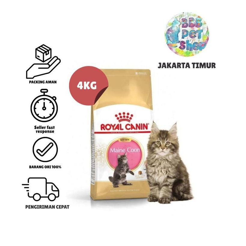 Royal Canin Kitten Maine Coon 4Kg Royal Canin Maine Coon Kitten
