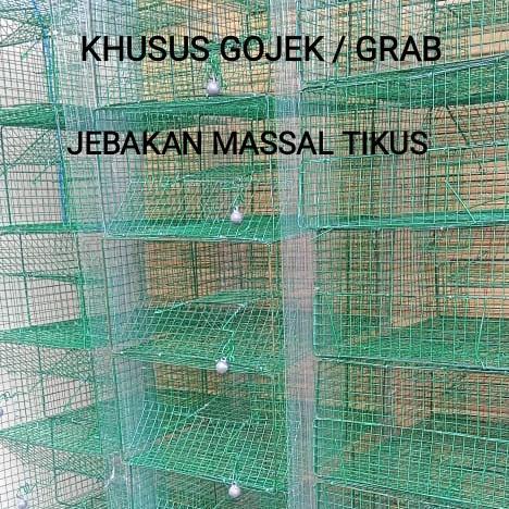BERKUALITAS Perangkap jebakan tikus massal tebal jumbo