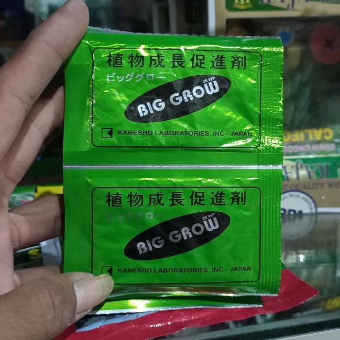 Diskon ZPT BIG GROW isi 5 gr GA3