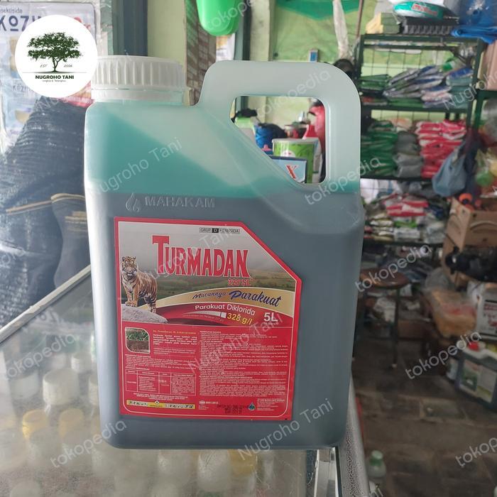 HERBISIDA TURMADAN 328 SL 5 LITER MACANNYA PARAKUAT PENGENDALI SEMUA G