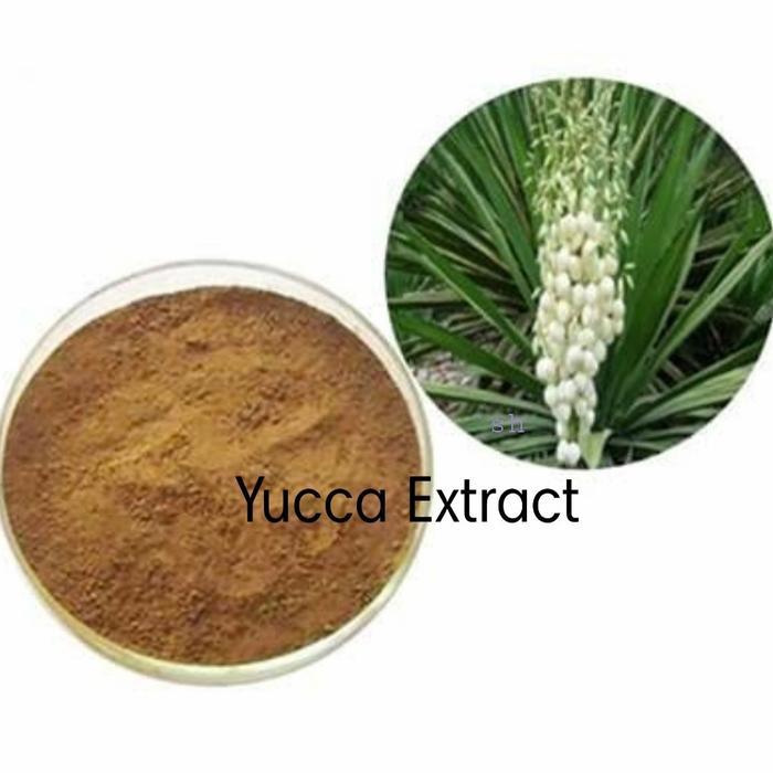 Yucca Extract Powder 25g/Anti Aging Agent