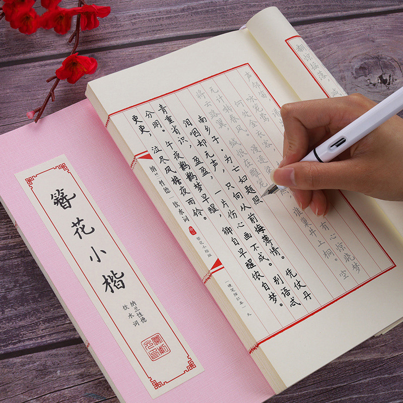 Books Chinese Kanji Calligraphy Reusable Hard Pen Practice Erasable Learn Hanzi Copybook Adults Art 