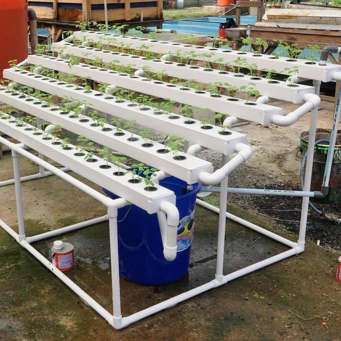 JIRIFARM PAKET STARTERKIT HIDROPONIK NFT 120 LT TRAPESIUM