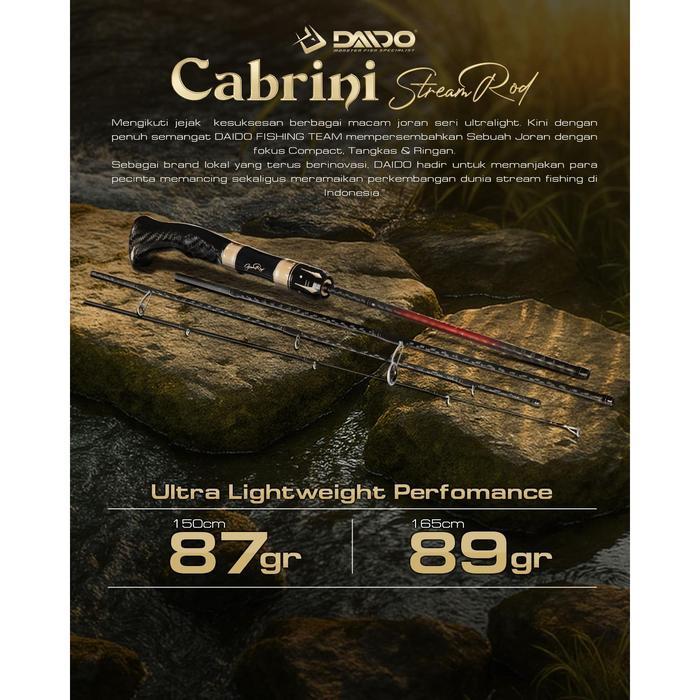 DAIDO - JORAN CABRINI TRAVEL CARBON - JORAN PANCING