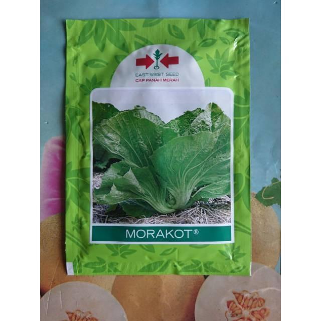 Benih Bibit Sawi Pahit Morakot 20Gr