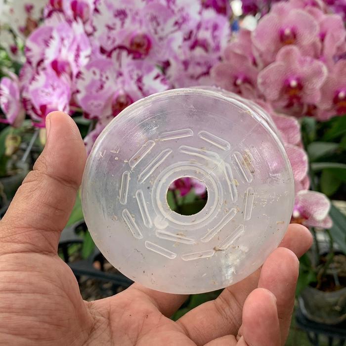 Mantabetul Pot Plastik / Soft Pot Anggrek Bulan