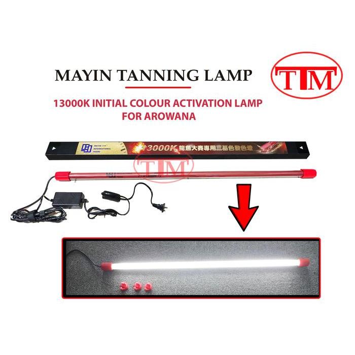 LAMPU TANNING 92CM MAYIN T5 13000K LAMPU PENCERAH WARNA IKAN ARWANA