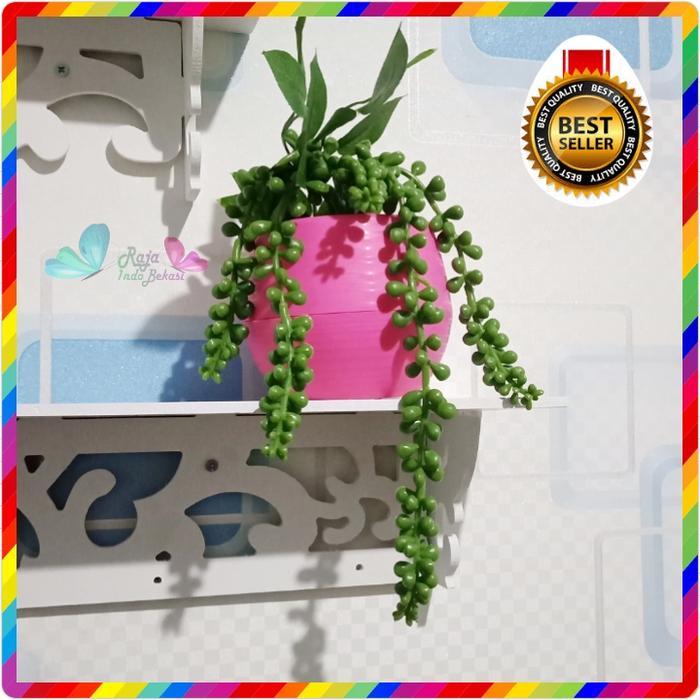 Chantelna_ Raja Indo Pot Bola Bulat Kecil Sedang Besar S M L Untuk Bunga Artificial Plastik Palsu