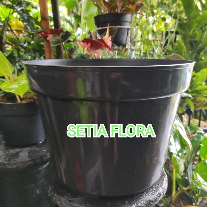 Pot Plastik Bunga Tanaman 40Cm Hitam Polos Global Lion Berkualitas