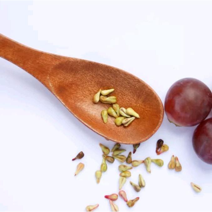 Mantabetul Benih Anggur (Jupiter) Berkualitas Tinggi Di Jamin Valid Mudah Berbuah