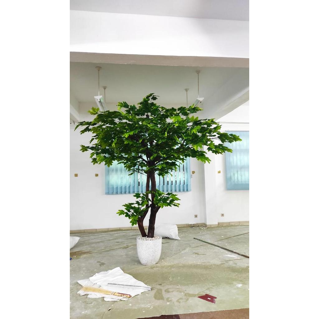 Pohon Maple Hijau Artificial// Pohon Maple Hijau Tinggi 3 Meter// Pohon Maple Hijau Sudah Dengan Pot