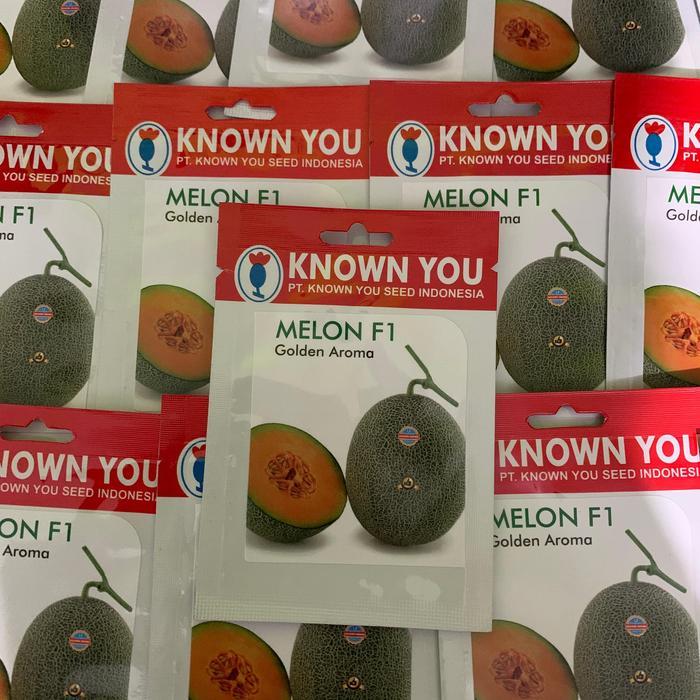 Mrono_Mrene Golden Aroma Benih Buah Melon 10 Seed Melon F1 Kys