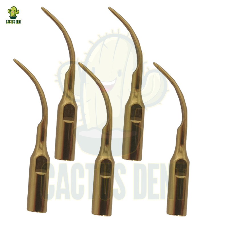 Woodpeck Dental Ultrasonic Piezo Scaler DTE Satelec Dental Scaler