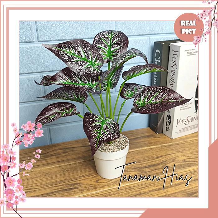 jwwi- Unico Pot Bunga Daun Keladi Tanaman Hias Daun Talas Motif Daun Kering Plastik Dekorasi