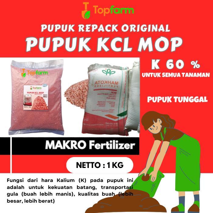 Mantabetul Pupuk Kcl Mop - Pupuk Kcl Merah 1 Kg / Pupuk Kcl Mahkota / Pupuk Kcl Asli / Pupuk Kalium