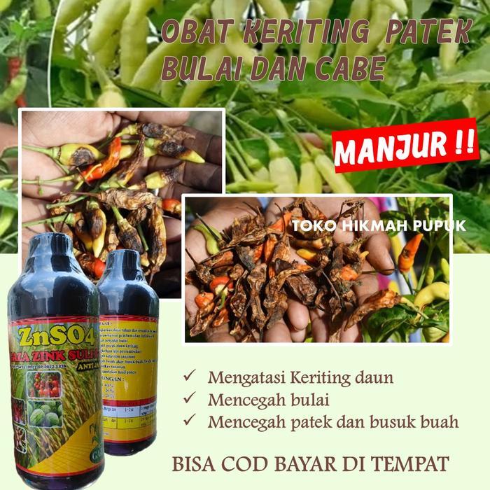 Mantabetul - Pupuk Znso4 Gaza Zink Sulfate 500 Ml Organik Anti Patek, Daun Kuning Keriting Cabe,