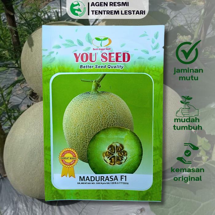 Thejaguar1 Benih Melon Madurasa F1 50 Seed Asli Cap Youseed Manis Unggul