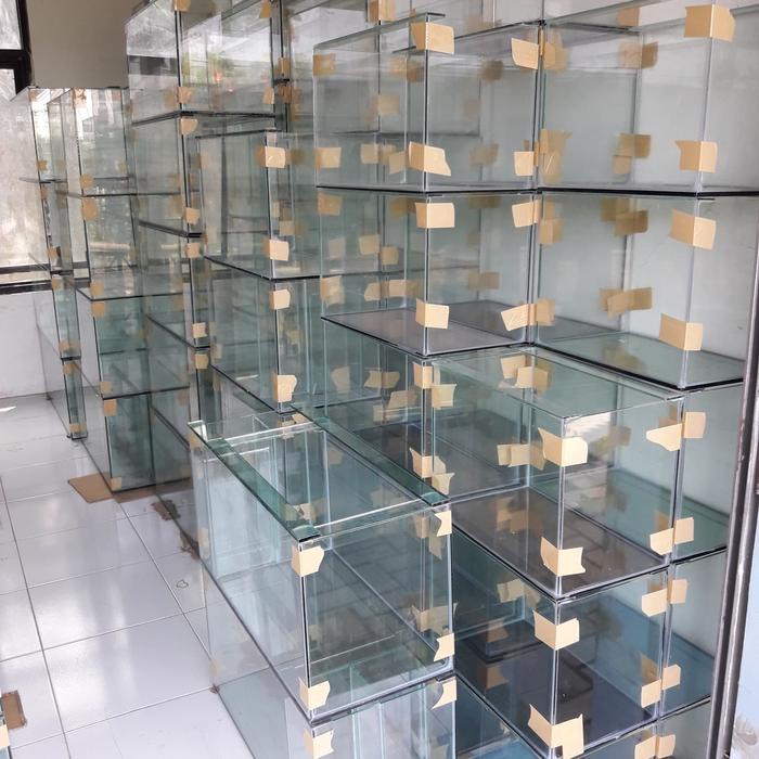 CUSTOM 2 PCS AQUARIUM 60X30X40 KACA FULL 5.LMILI.