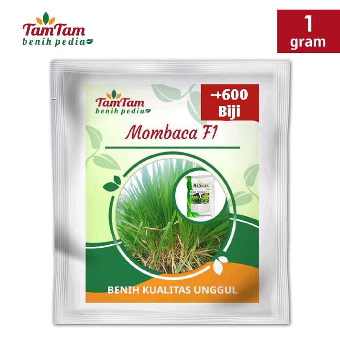 Mrono_Mrene Agrimax Benih Mombaca F1 Panicum Maximum Pakan Ternak Sapi/Kambing (600Biji)