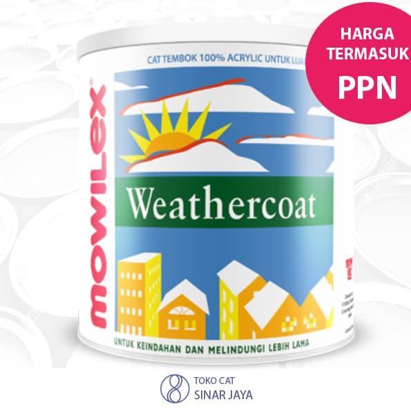 bojm- Weathercoat Mowilex 2,5 Readymix