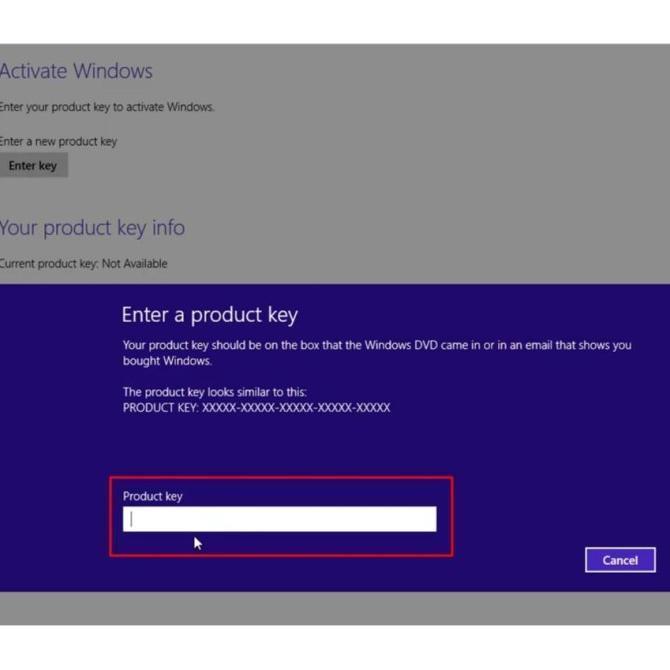 Windows 8.1 Original License Lisensi Key