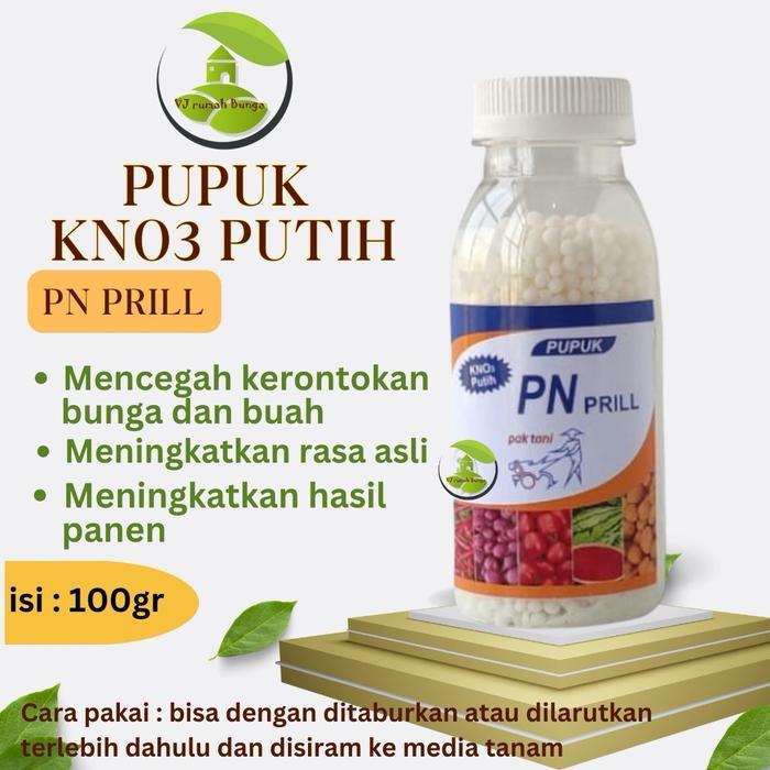 Mantabetul Paket Pupuk Pembungaan Dan Pembuahan Mkp&Kno3