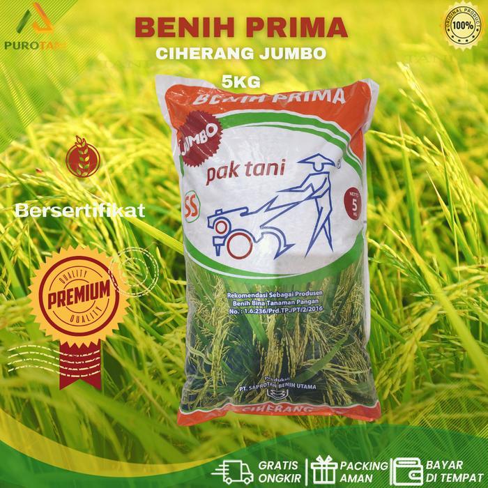 Puro Benih Padi CIHERANG jumbo Pak Tani 5kg Benih Prima Paktani SS PROMOIA112