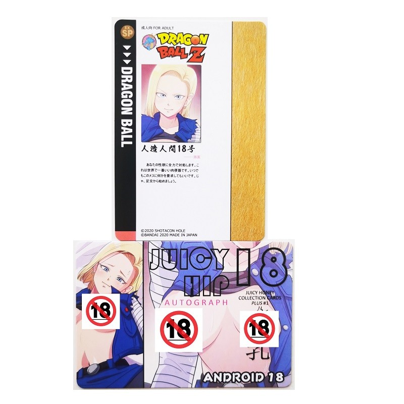 12pcs/set ACG Dragon Ball Android 18 Nude Sexy Girls Hobby Collectibles Game Anime Collection Cards