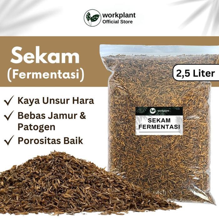 [Voucher] Workplant - Sekam Fermentasi Media Tanam Siap Pakai untuk Tanaman Hias Aglonema
